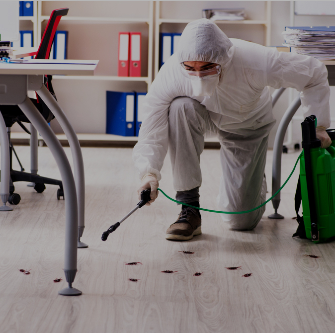 contact - ATeam Pest Control MY | Termite Ant Cockroach and General Pest Control | COVID19 Zika and Dengue Fever Control | Disinfection Services